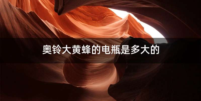 奥铃大黄蜂的电瓶是多大的