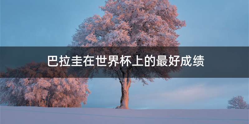 巴拉圭在世界杯上的最好成绩