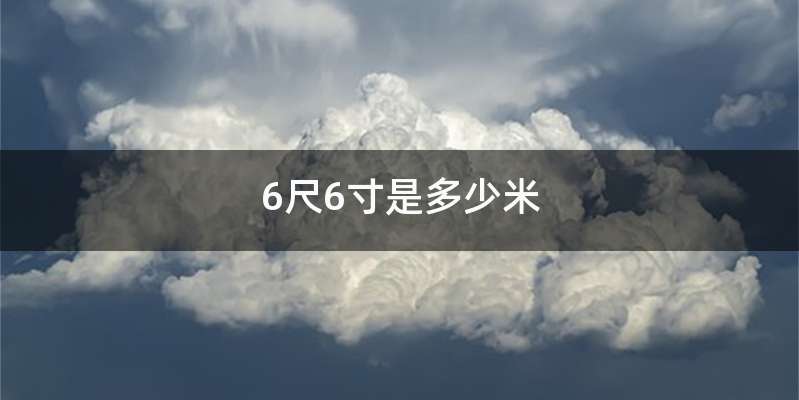 6尺6寸是多少米