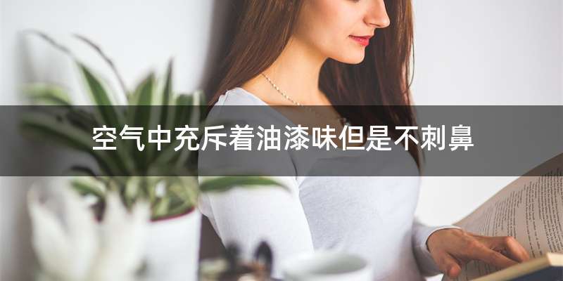 空气中充斥着油漆味但是不刺鼻