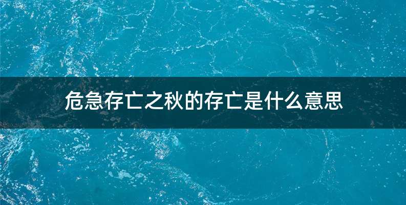 危急存亡之秋的存亡是什么意思