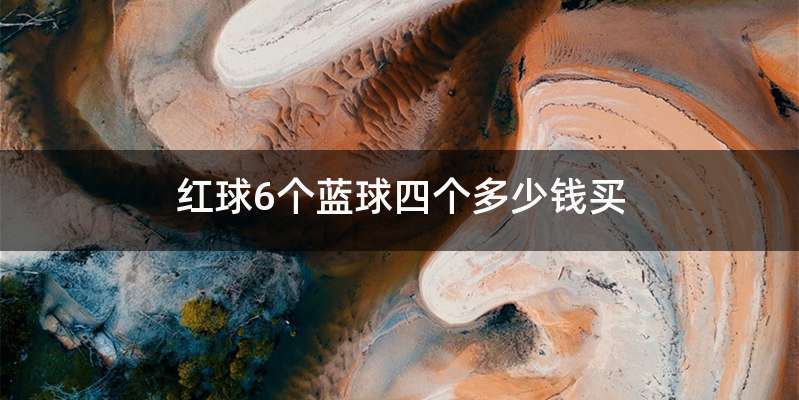红球6个蓝球四个多少钱买