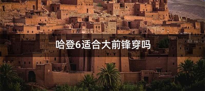 哈登6适合大前锋穿吗