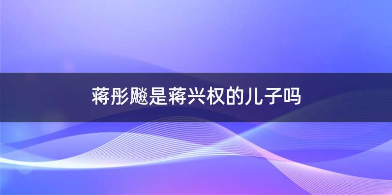 蒋彤飚是蒋兴权的儿子吗