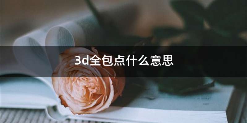 3d全包点什么意思