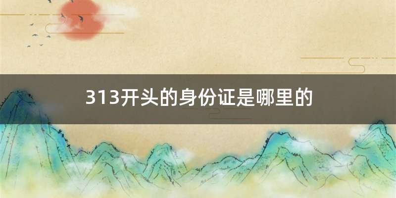 313开头的身份证是哪里的