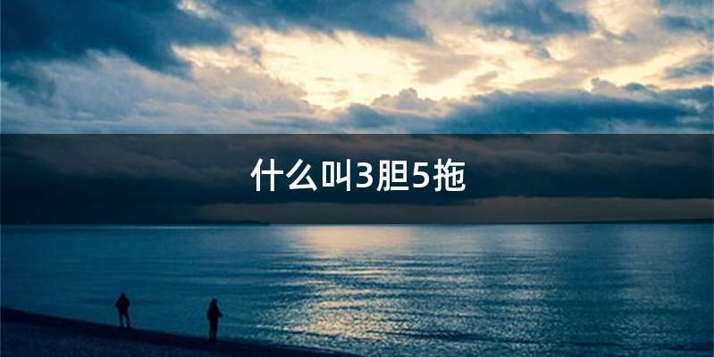 什么叫3胆5拖