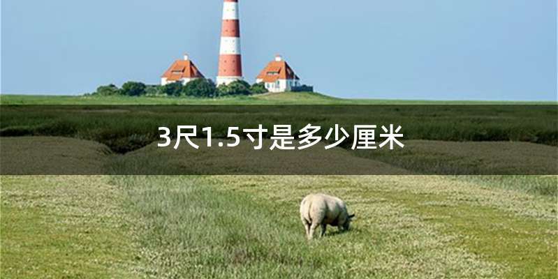 3尺1.5寸是多少厘米
