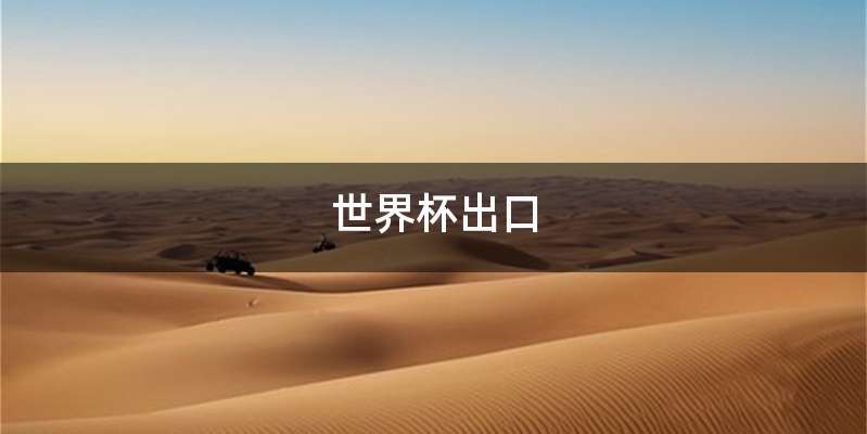 世界杯出口