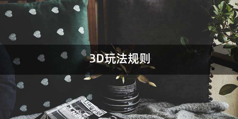 3D玩法规则