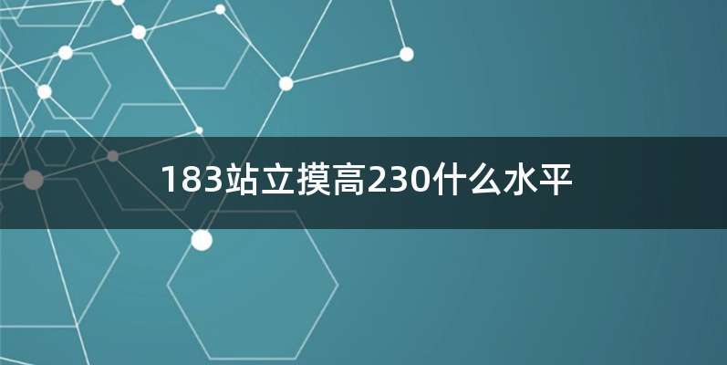 183站立摸高230什么水平