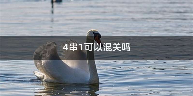 4串1可以混关吗