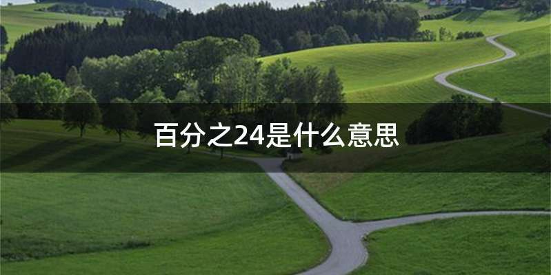 百分之24是什么意思