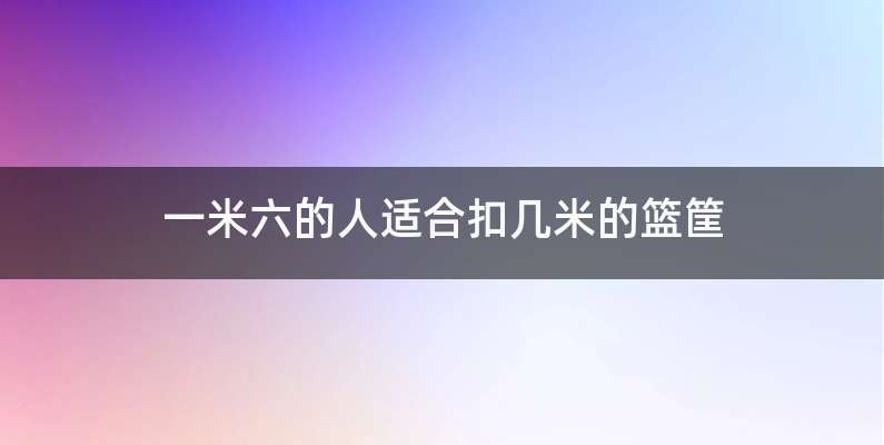 一米六的人适合扣几米的篮筐