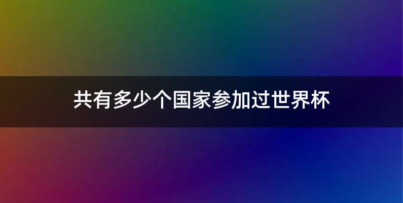 共有多少个国家参加过世界杯