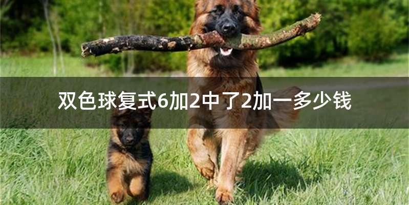 双色球复式6加2中了2加一多少钱