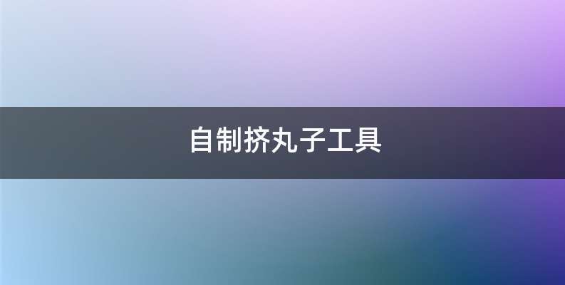 自制挤丸子工具