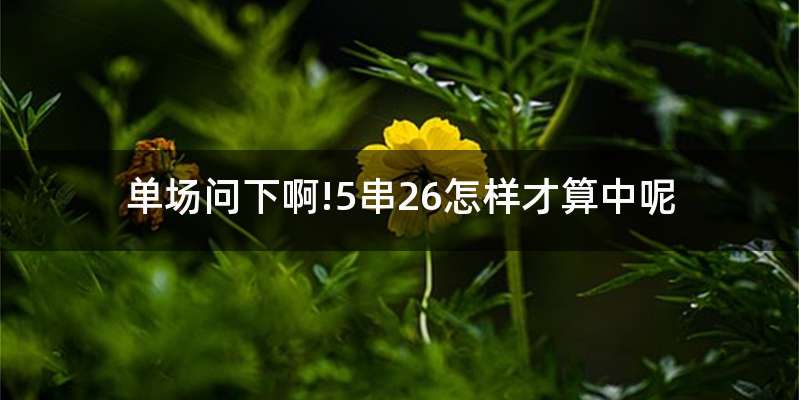 单场问下啊!5串26怎样才算中呢