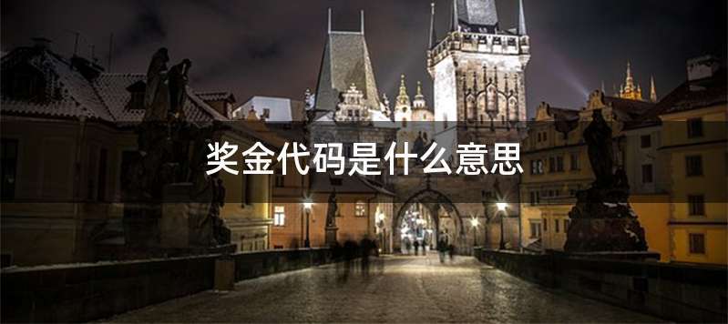 奖金代码是什么意思