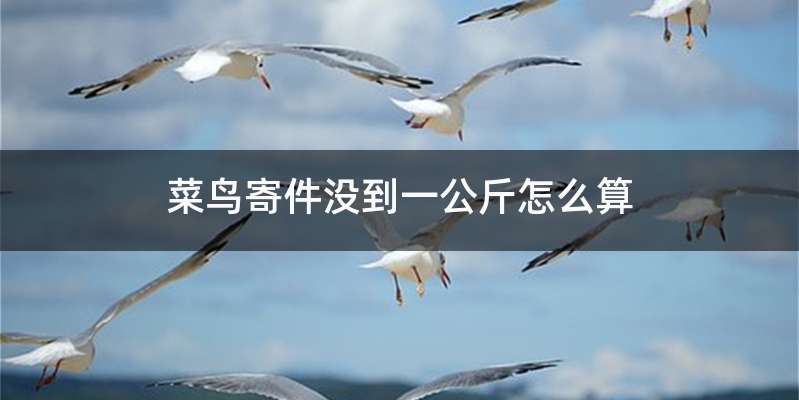菜鸟寄件没到一公斤怎么算