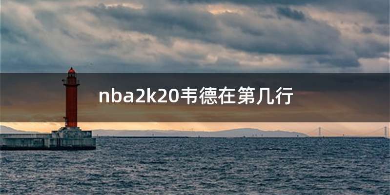 nba2k20韦德在第几行
