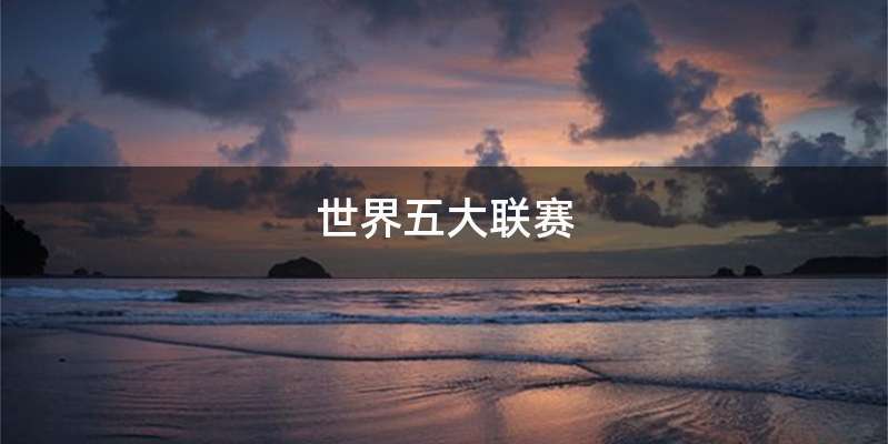 世界五大联赛