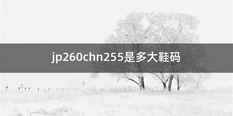 jp260chn255是多大鞋码