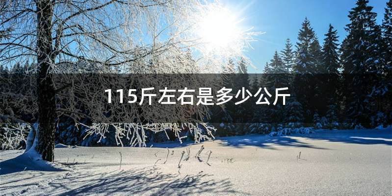 115斤左右是多少公斤