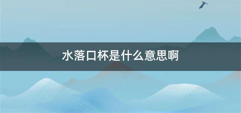 水落口杯是什么意思啊