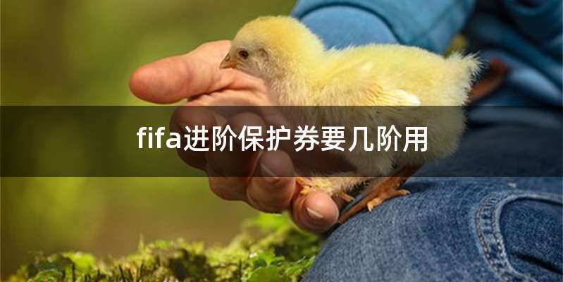 fifa进阶保护券要几阶用
