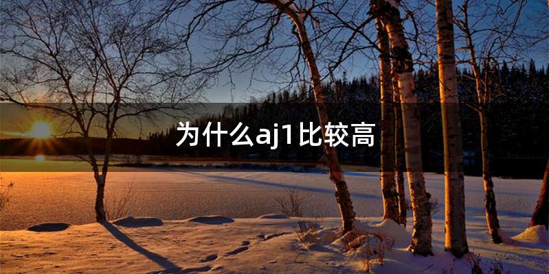 为什么aj1比较高