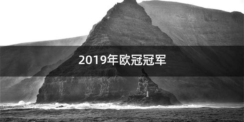 2019年欧冠冠军