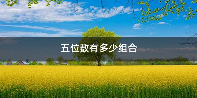 五位数有多少组合