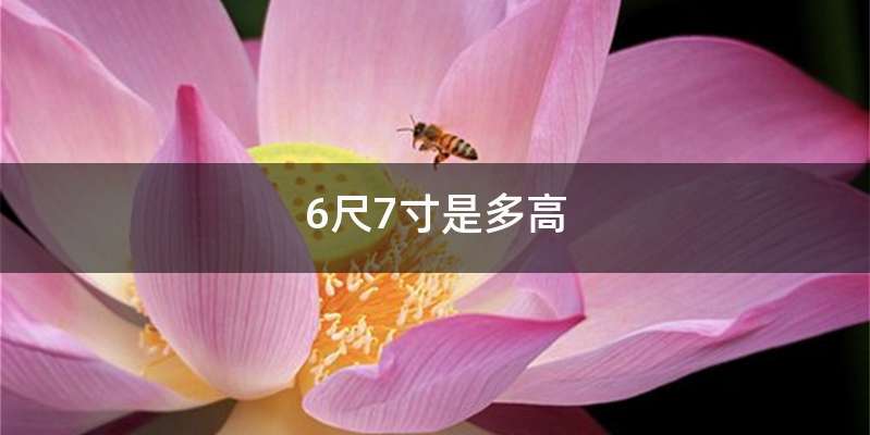 6尺7寸是多高