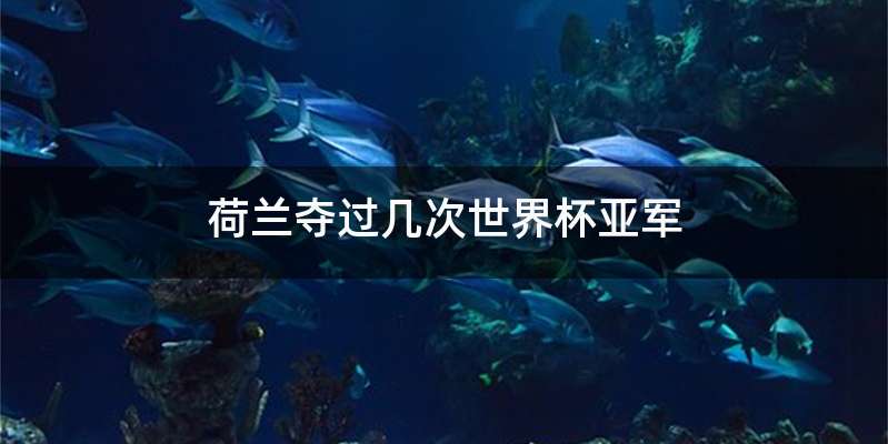 荷兰夺过几次世界杯亚军