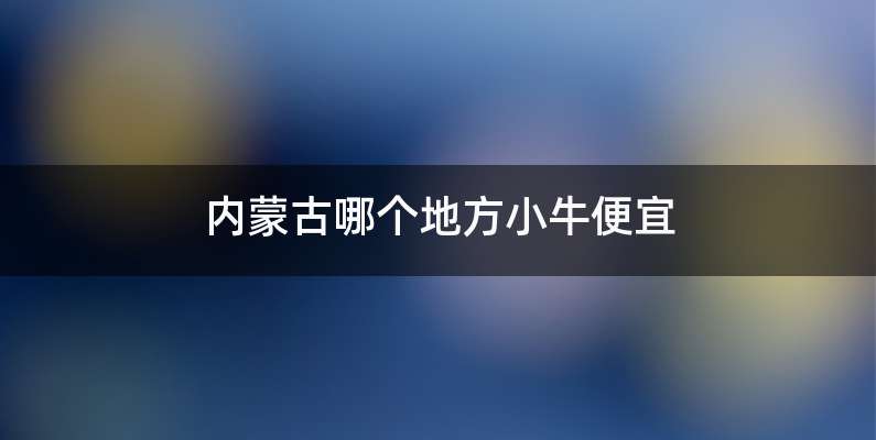 内蒙古哪个地方小牛便宜
