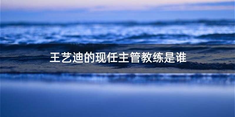 王艺迪的现任主管教练是谁