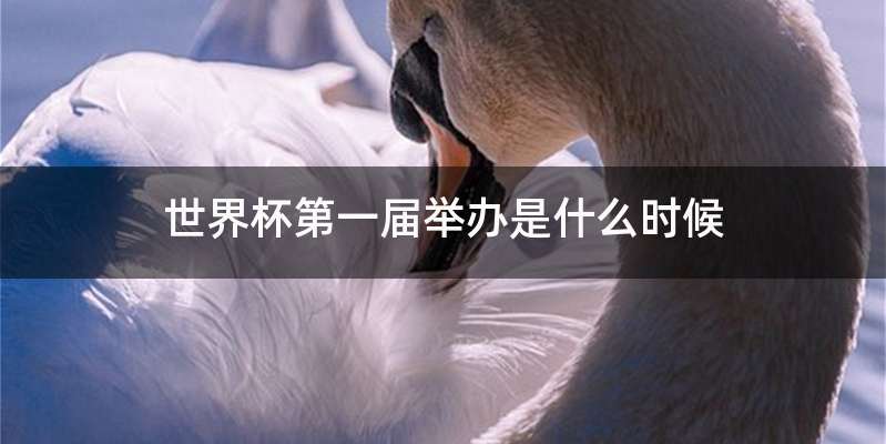 世界杯第一届举办是什么时候