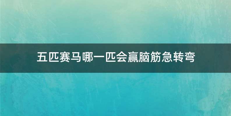 五匹赛马哪一匹会赢脑筋急转弯