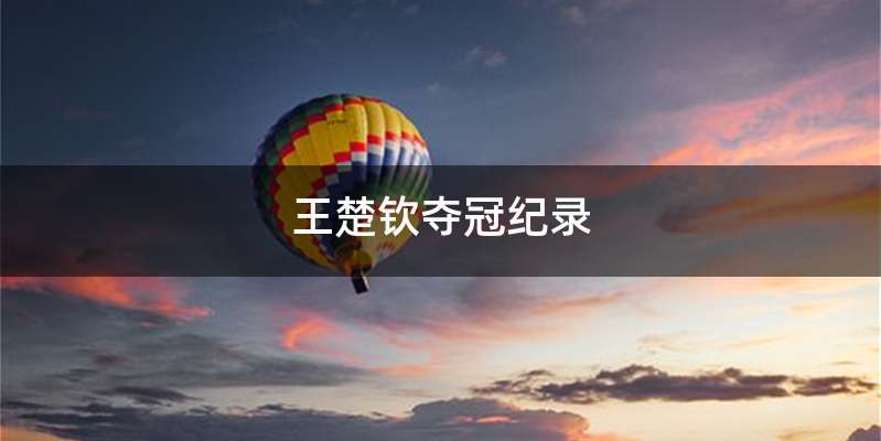 王楚钦夺冠纪录