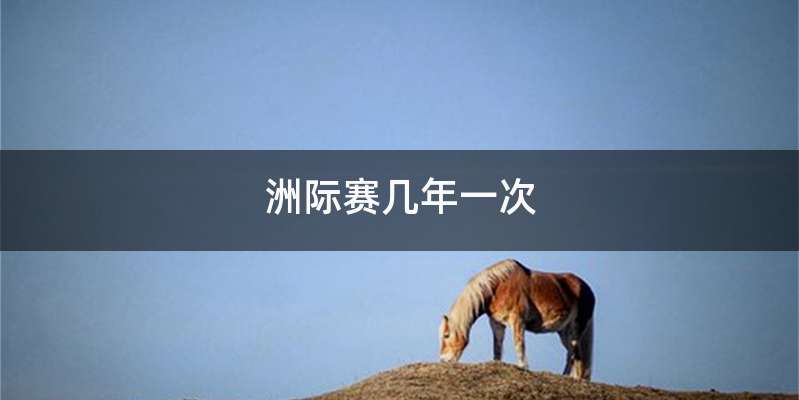 洲际赛几年一次