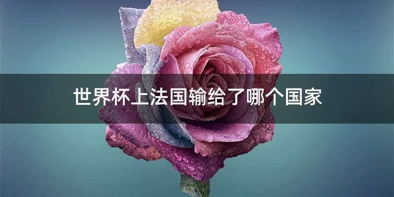 世界杯上法国输给了哪个国家