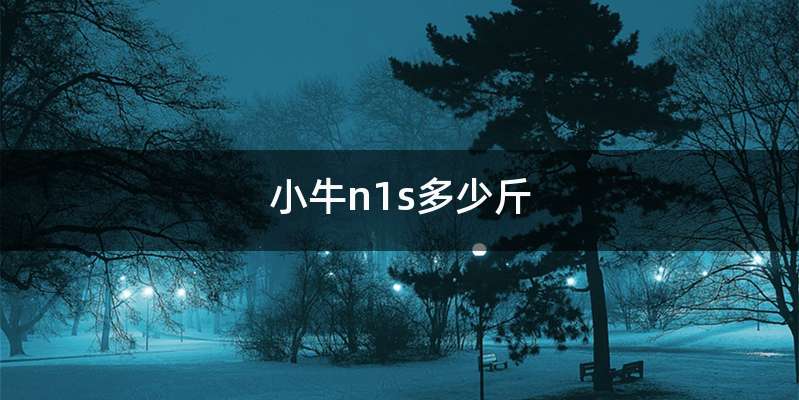 小牛n1s多少斤