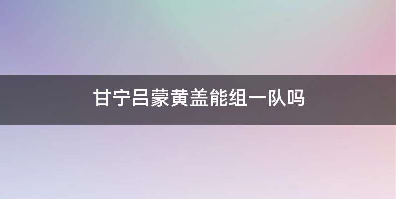 甘宁吕蒙黄盖能组一队吗