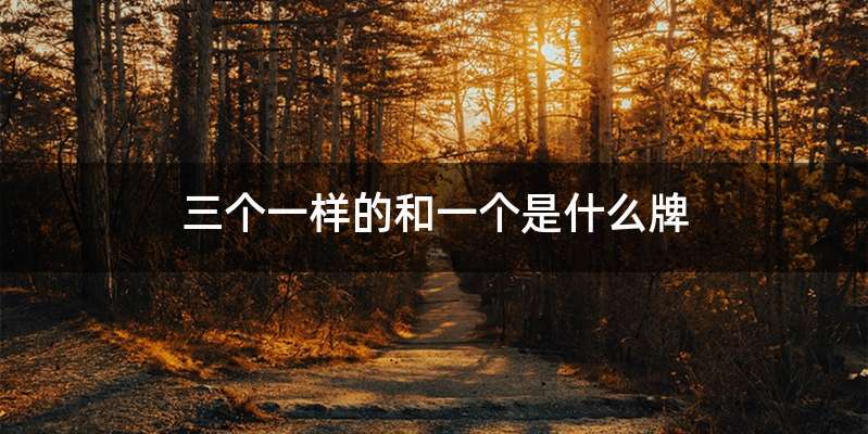 三个一样的和一个是什么牌