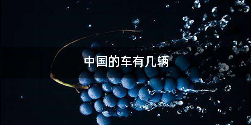中国的车有几辆
