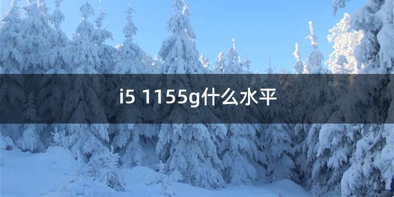 i5 1155g什么水平