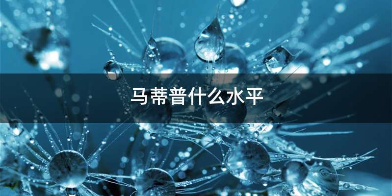 马蒂普什么水平