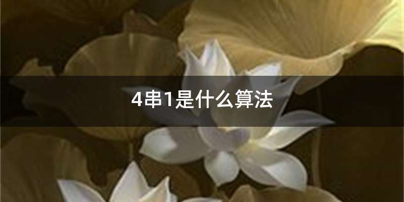 4串1是什么算法