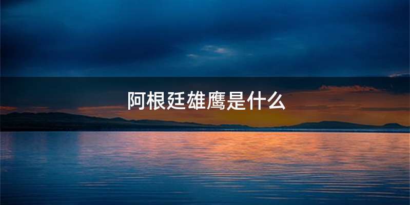 阿根廷雄鹰是什么